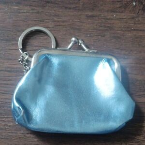 Metallic Blue Coin Purse